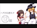 ハゲが幻想入り　１２話