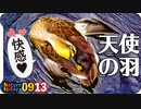 0913【奇形のカルガモ水浴び潜水】シジュウカラとモズの鳴き声、ハトとセキレイのジャンプ。蝉がカマキリに食べられる、オナガの群れなど【今日撮り野鳥動画まとめ】 #身近な生き物語