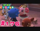 【実況】ちゃちゃまるに金のバラのかんむりをかぶってもらったら可愛い #176【あつまれどうぶつの森】