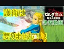 『ゼルダ無双 厄災の黙示録』の感想と考察を述べた動画　１