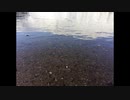 【葛駄夜音】rain stops, good-bye【UTAUcover】