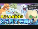 【実況】ポケモン剣盾でたわむれる 俺の自慢の雨パを見てくれ