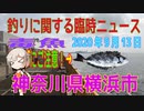 深神高広の釣りに関する臨時ニュース（神奈川県横浜市　2020年9月13日）