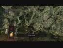 [ダークソウル]初心者による初見な冒険[REMASTERED]その74