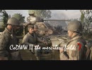 CoDWWⅡ the merciless field: 7