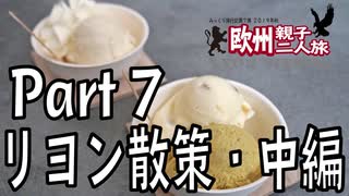 みっくり欧州親子二人旅　Part7　リヨン散策（中編）