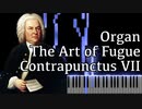 【J.S.バッハ】フーガの技法 - コントラプンクトゥスVII - Organ Ver.【Contrapunctus 7/The Art of Fugue/Kunst der Fuge/Bach】
