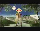 Rainbow tyleドナル