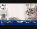 SCP-607 - 灰色猫のドリアン