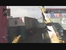 【MW】野良でチームディフェンダーからのハードポイント【43】