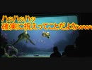 ハッハッハッ確実に祝えってことだよなｗｗｗ【タートルトーク】東京ディズニーシー