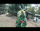 奈良公園の鹿が柴犬に突進