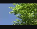 2test&"'`= ¥/