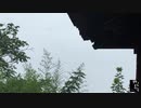 霧の深い山々でベーコンをぎくしゃくさせ、肉を食べ、犬を吸うのは楽しいです|野居青年|Youth Living In The Wild