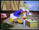 ホモと見るピクニック