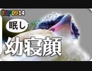 0914【シジュウカラが捕食】ヒヨドリ雛が食べられず、オナガ家族の鳴き声、イソヒヨドリにセグロセキレイ【今日撮り野鳥動画まとめ】 #身近な生き物語