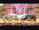 帰ってきた絶望のゴリラ【スマブラSP】part14