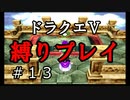 【アルカリ性】26周目だし、縛りプレイで楽しもう！【ドラクエ5シーズン1 Part13】