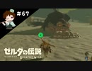 【実況】マスターモードでやりこみサバイバル生活！！　Part67　【ゼルダの伝説　BotW】