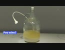 スウエーデンの博物館に「Poo Wine(トンスル)」が展示されるw