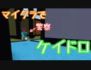 マイクラでケイドロをやるイベントに参加させて頂いた！！（前編）