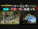 いかにもYouTubeなサムネってニコニコだとめっちゃ浮く気がする