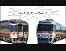 【キハ85系】ワイドビューひだ 車内散策録