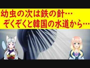 タンパク質の次は鉄分？今度は韓国の水道から鉄の針が出てきた！【世界の〇〇にゅーす】