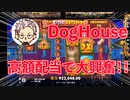 【オンラインカジノ/オンカジ】【レオベガス】The Dog House MEGAWAYS高額配当！！