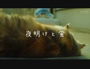 夜明けと蛍/Mob【歌ってみた】