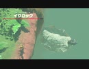 イワロックを水中に落としてみた