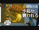 0915【スズメが襲われ食べられる】小さな猛禽類チョウゲンボウとモズの捕食。ムクドリがペリット吐く、野生化したインコの鳴き声、ハクセキレイ縄張り争い、キジバト水浴び #身近な生き物語