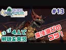 【新作FFCCほぼ毎日更新】クリスタルクロニクル実況＆解説Part.13【ほぼ４人実況プレイ】