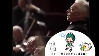 ベートーヴェン 交響曲第九番「八卦よっしゃどすこーいの歌」