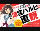 涼宮ハルヒのおさらい・・・ラノベ珠玉の１１冊　涼宮ハルヒシリーズ