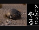 久しぶりにPUBGやってみた