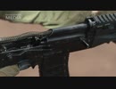 AK-12 ポルノ動画