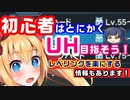 【PSO2ゆる解説】初心者はとにかくUH目指したほうがいい理由とは？【人いない】