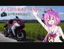 【鳴花ヒメ車載】R25が今日もどっか行くようです【カメラ買いました！編】