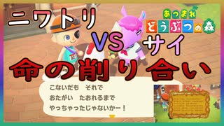 あつまれどうぶつの森 売ってお金を稼いではいけない島生活 ２３ ニコニコ動画