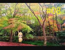 【解像度】ドトコイ【低めの恋】実況#08