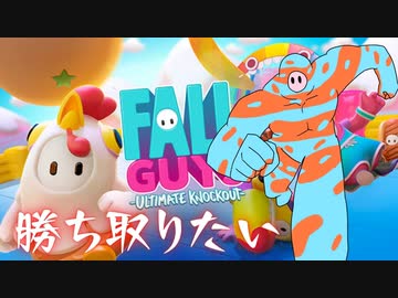 【実況】無欲な馬鹿にはなれないFallguys【Fallguys】