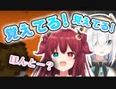 アルス、ロアちゃんにオフで会った時の思い出を覚えているか試される