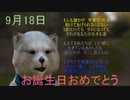 9月18日 　お誕生日おめでとうございます。マクタンが　心込めておめでとうっていう動画です。(^▽^)/　＃運勢