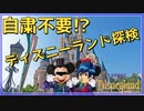 自粛せずにディズニーランドを謳歌する方法があるらしい【ディズニーランド・アドベンチャーズ/Disneyland Adventure】