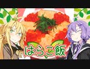 【VOICEROIDキッチン】☆腹ぺこゆかりんのおうちでご飯☆【番外編３】
