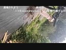 おぼぼきた。  2020/09/17(木) 13:35開始 (18分22秒)フルバージョン