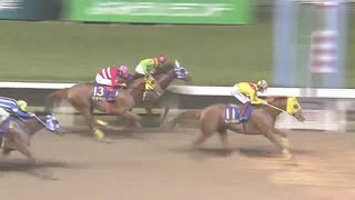 第49回戸塚記念 ティーズダンク