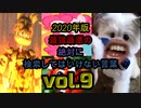 【seazon2】2020年版最強最悪の絶対に検索してはいけない言葉を検索してみたvol.9【怖くない】