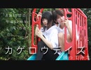 【来栖うさこ×釘町みやび】カゲロウデイズ踊ってみた